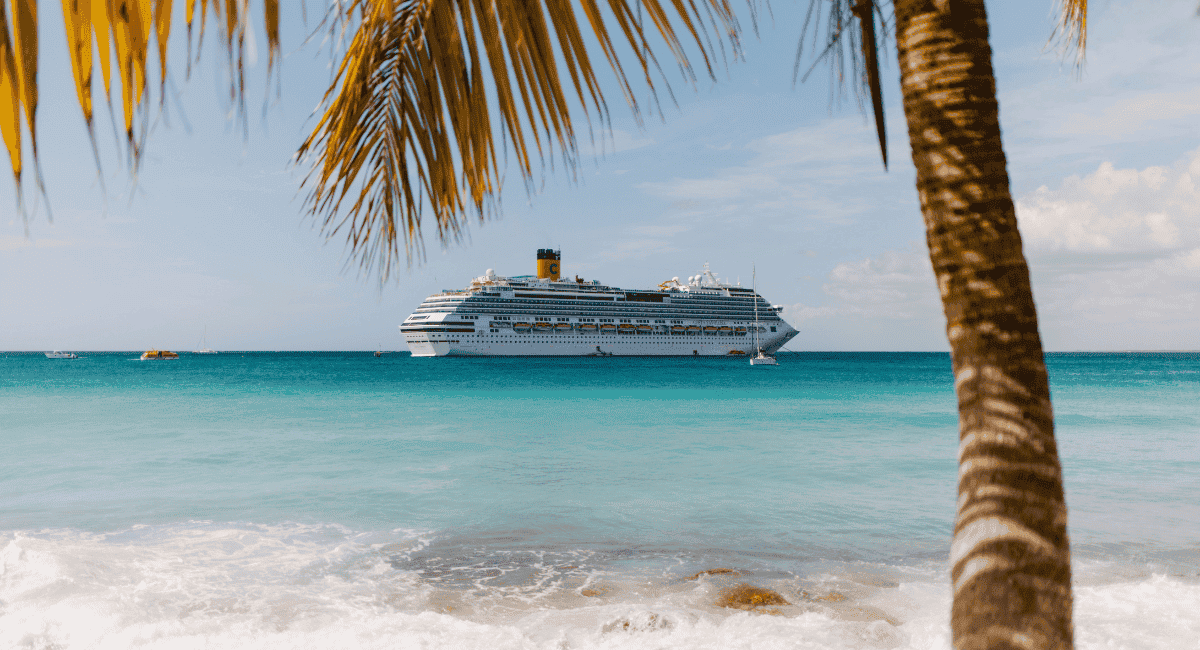 View of a cruise ship in the distance with a palm tree framing the image heading to a cruise destination