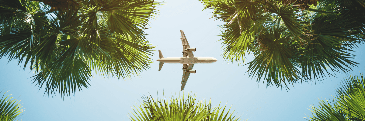 View looking up at the bottom of an airplane in the sky with palm trees around