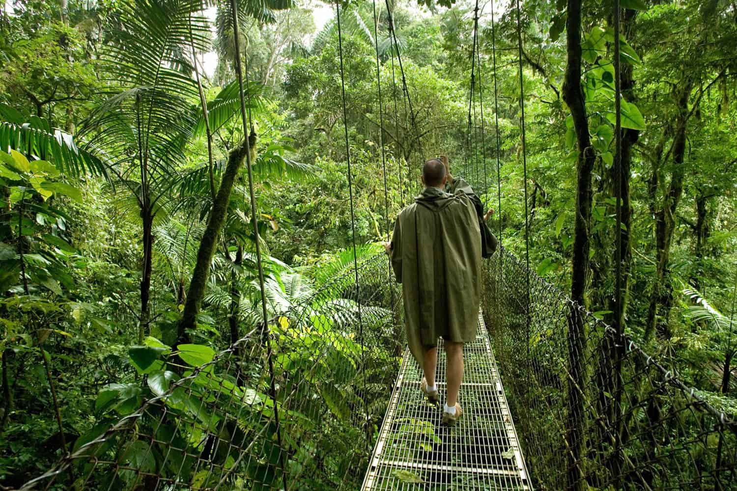 A man wearing a poncho walks on a metal suspension bridge through dense, green rainforest vegetation.