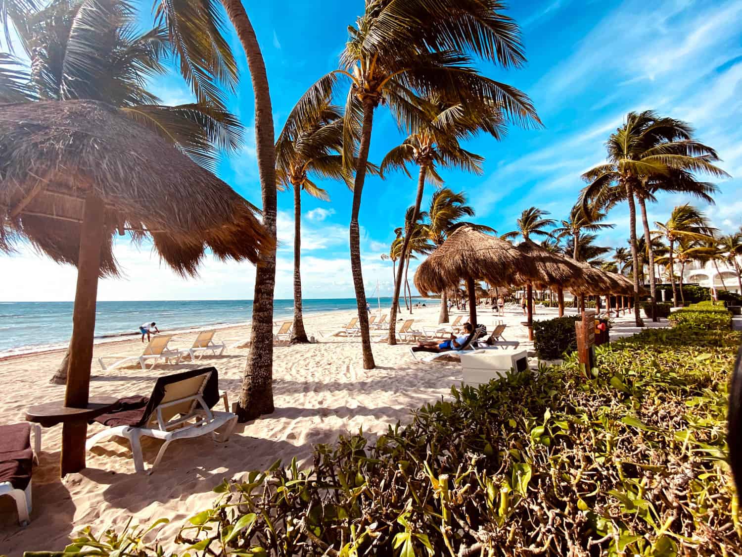 JT-All-Inclusive-13 Palm trees and thatched umbrellas line a sandy beach at an all-inclusive resort with lounge chairs, people relaxing, and the ocean under a cloudy blue sky.