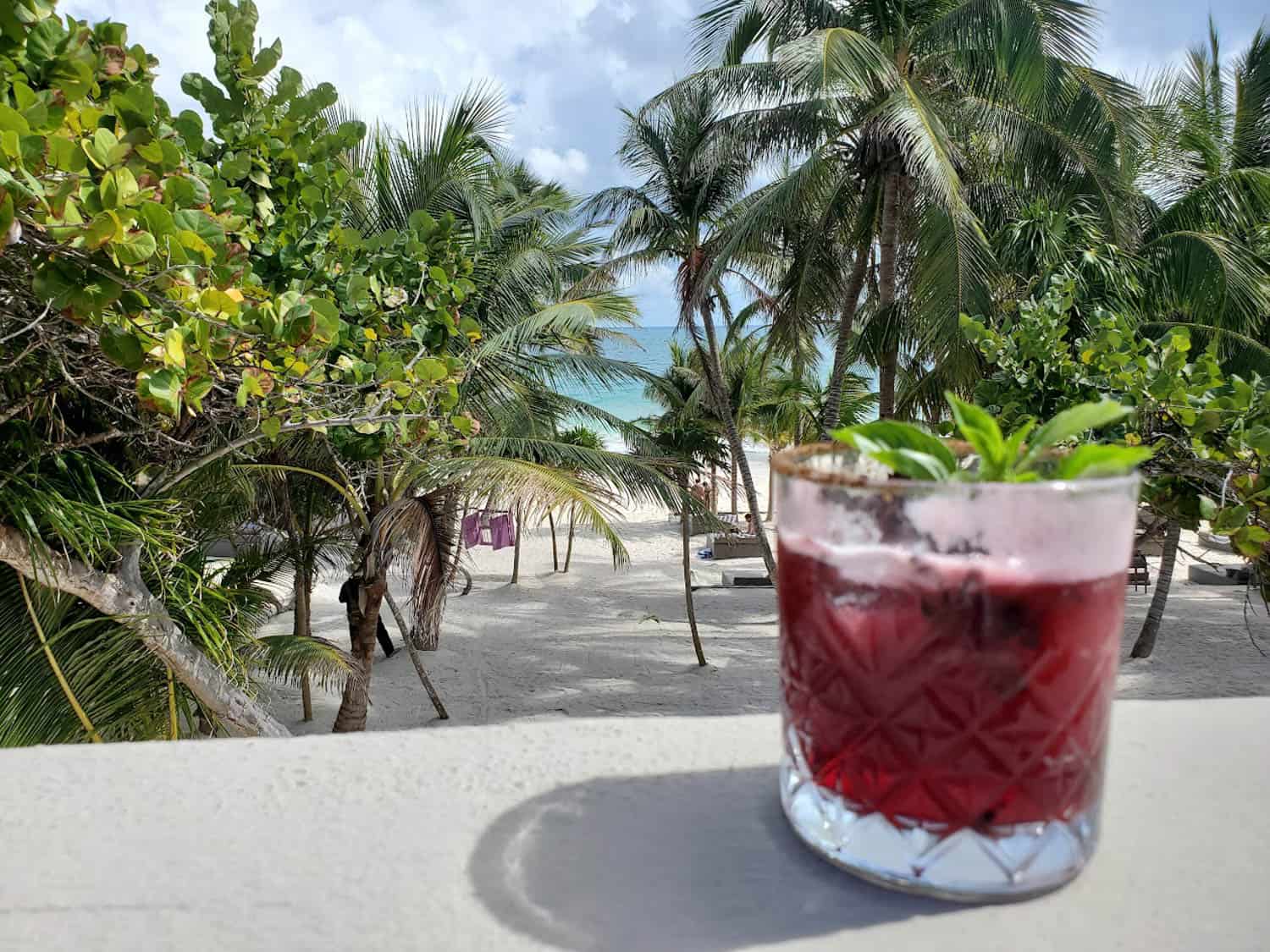 JT-All-Inclusive-14 A glass of red cocktail garnished with mint sits on a ledge, with palm trees and a sandy beach in the background.