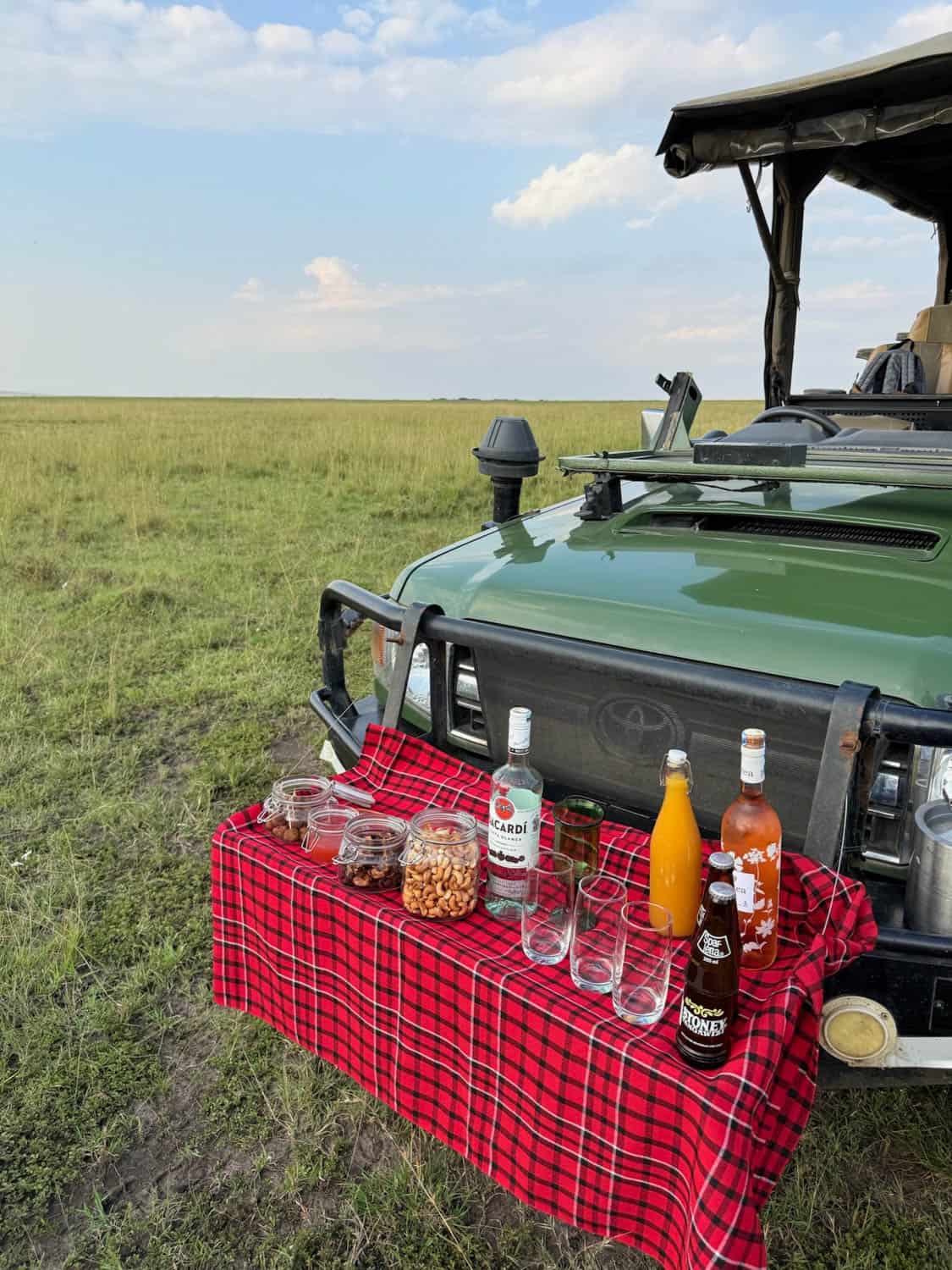 A red checkered cloth on a vehicle holds bottles, jars of snacks, glasses, and juice, set up on a grassy plain under a partly cloudy sky on an African safari tour.