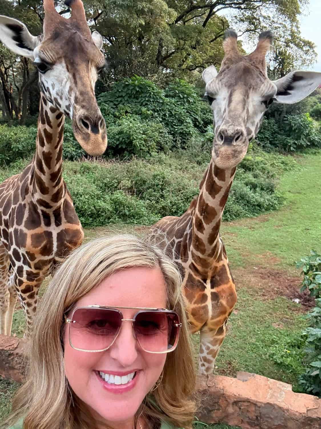 A woman with blonde hair and sunglasses takes a selfie in front of two giraffes standing on grass with greenery in the background while on an African safari.