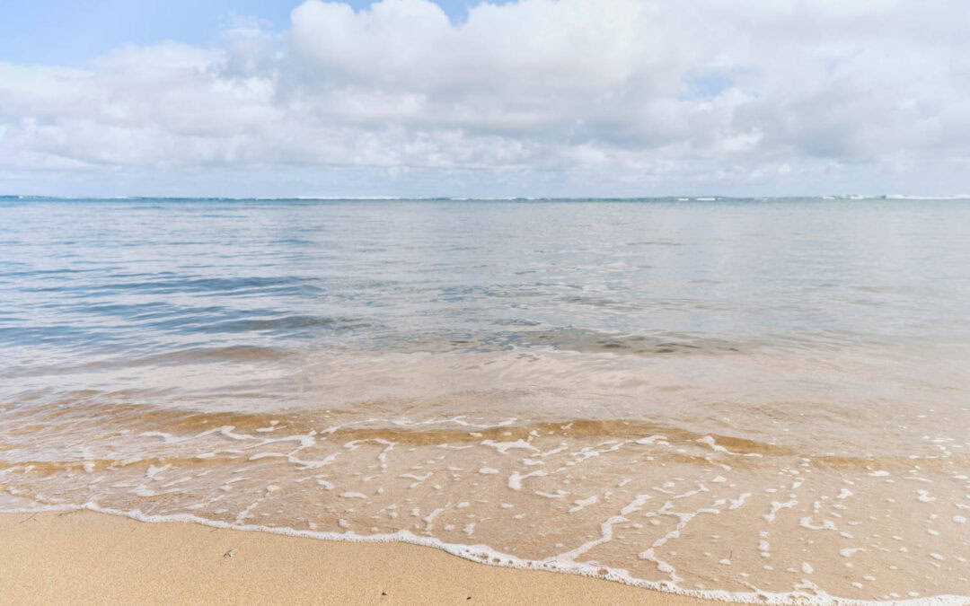 Destination Wedding Travel Agents vs Destination Wedding Planners: What’s the Difference?