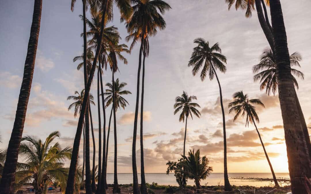 Secrets Moxché Playa del Carmen Destination Wedding: A Real Wedding Story and Planning Tips